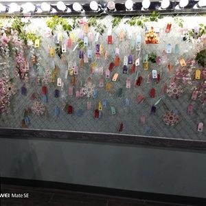 Meet your Posher, Jasmine